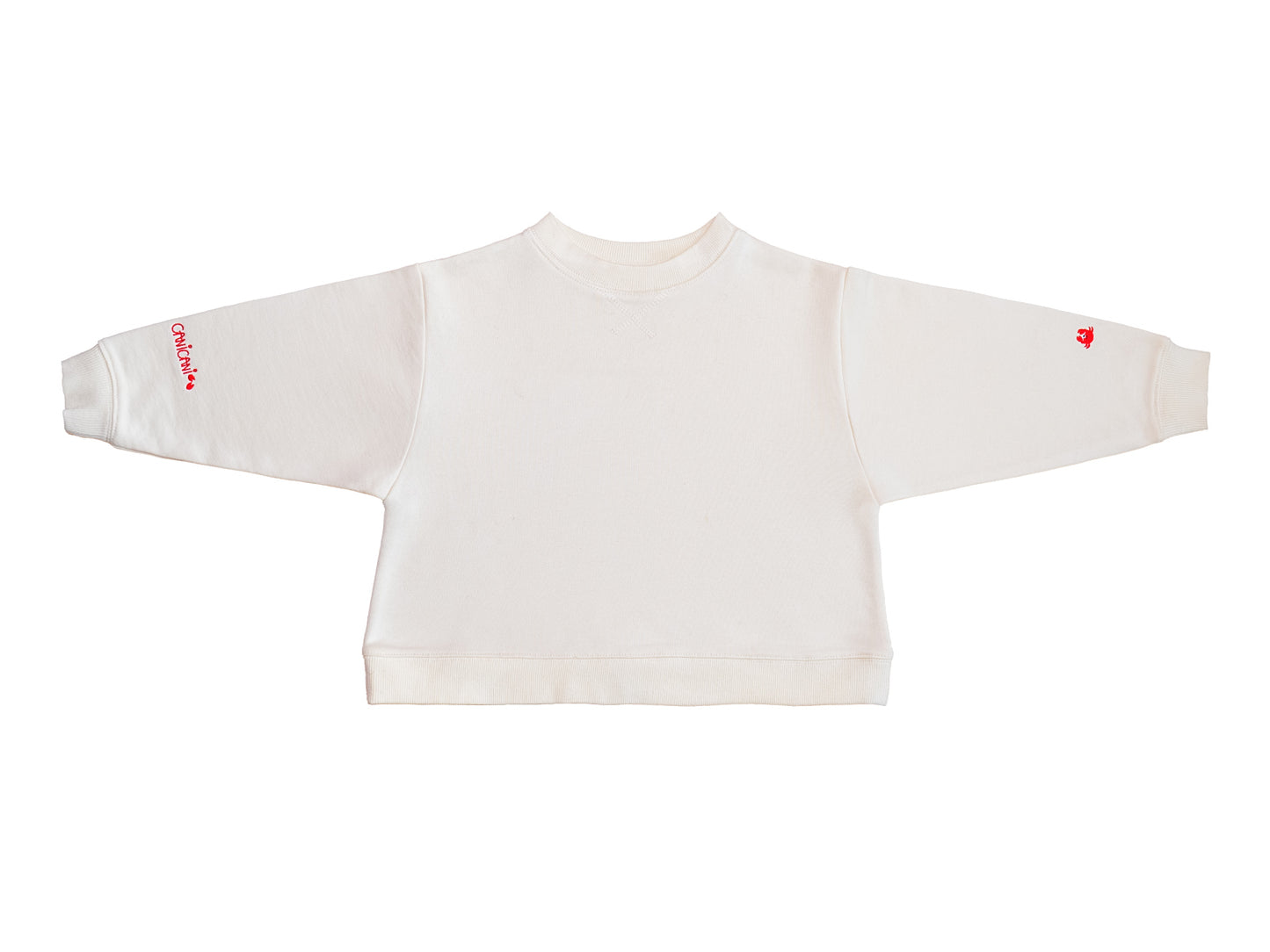 Oversized Boxy Fit Sweatshirt