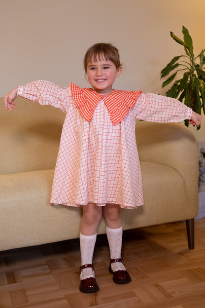 CANiCANi Signeture dress - 2 ways 